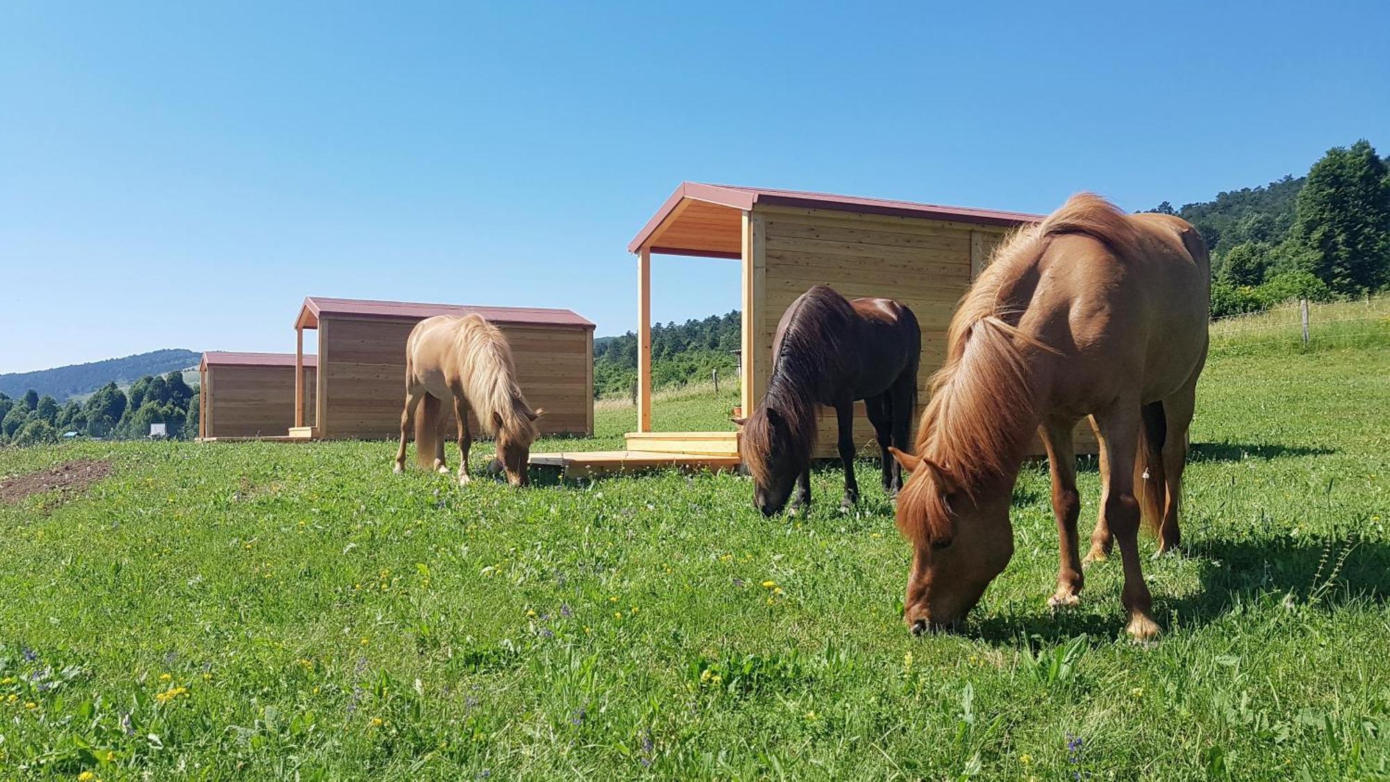 Camp The Sunrise Hill Ξενοδοχείο Pivka Εξωτερικό φωτογραφία